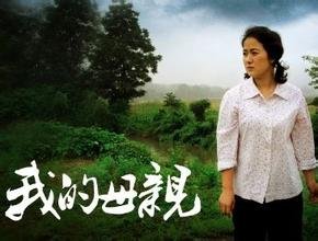 电视剧我的母亲一共多少集