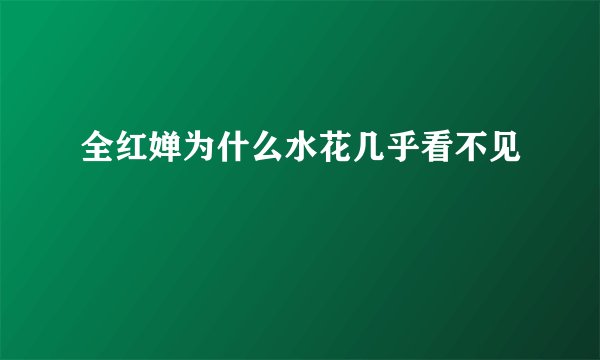 全红婵为什么水花几乎看不见