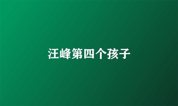 汪峰第四个孩子