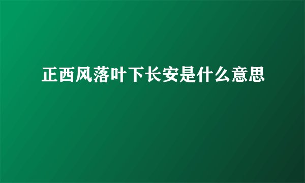 正西风落叶下长安是什么意思