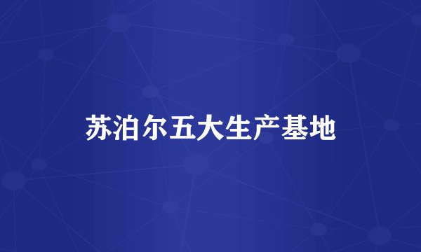 苏泊尔五大生产基地