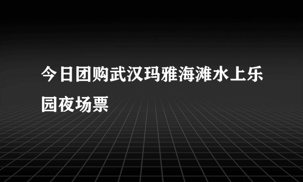 今日团购武汉玛雅海滩水上乐园夜场票