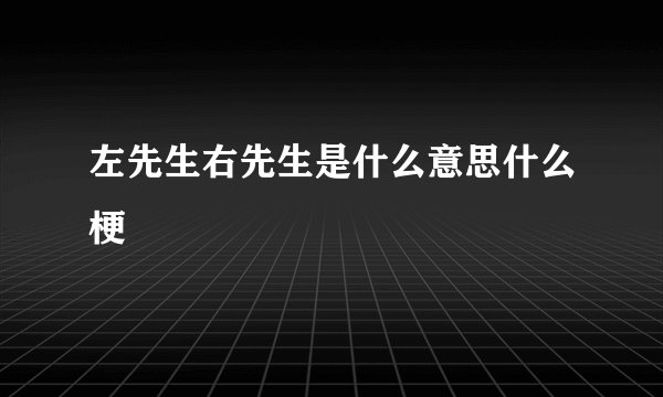 左先生右先生是什么意思什么梗