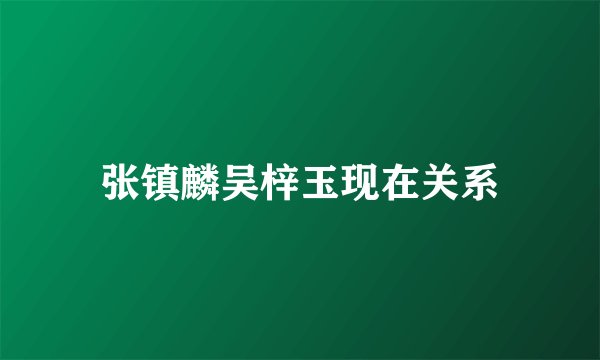 张镇麟吴梓玉现在关系