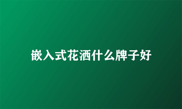嵌入式花洒什么牌子好