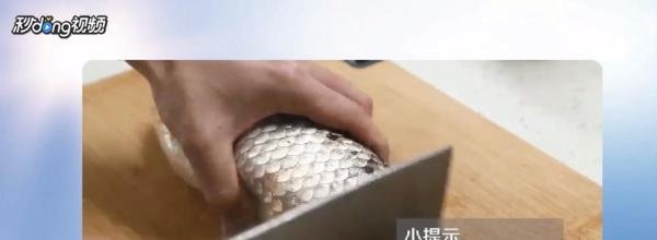 新手怎么杀鱼?