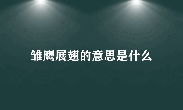 雏鹰展翅的意思是什么