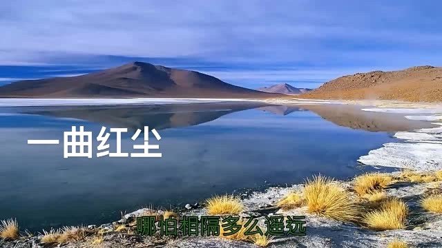 冷冷的眼泪随风吹才知道离别的滋味是什么歌