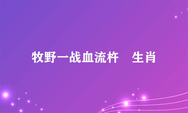 牧野一战血流杵‌生肖