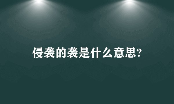 侵袭的袭是什么意思?
