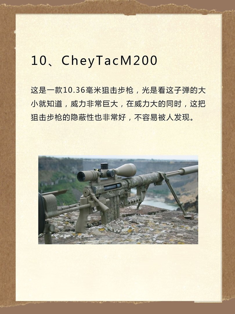世界十大禁用枪支