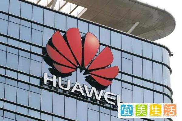 雷军称年轻人入职半年内不要提意见，华为却是这样做的