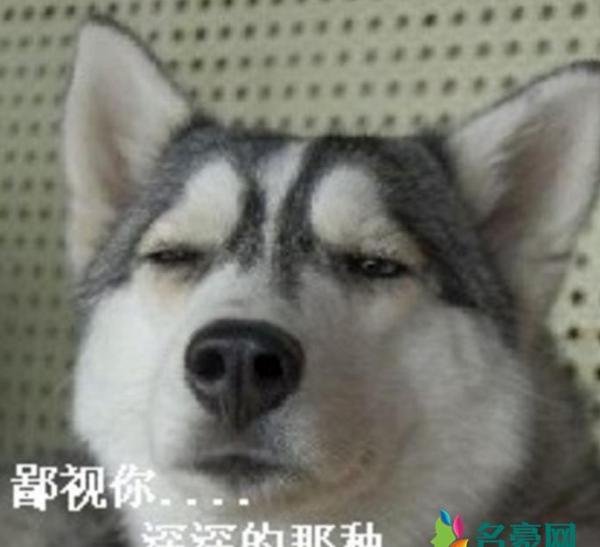 战五渣是什么梗什么意思 战五渣的出处