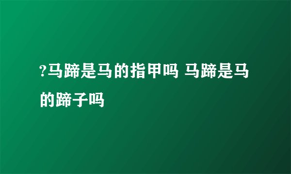 ?马蹄是马的指甲吗 马蹄是马的蹄子吗