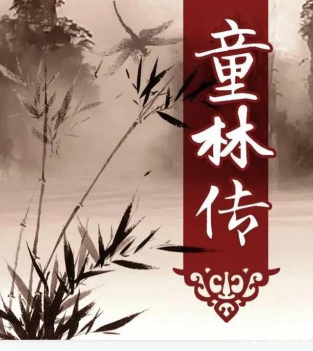 《童林传》中有几位武圣人,武功排名如何?