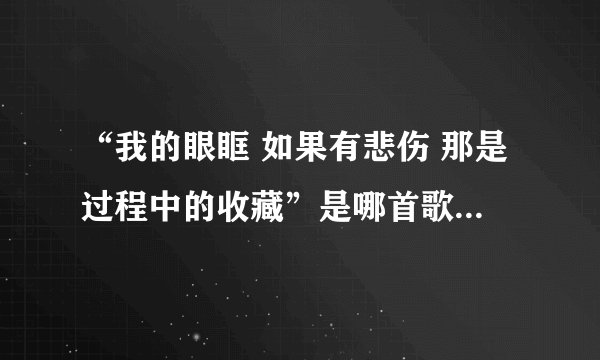 “我的眼眶 如果有悲伤 那是过程中的收藏”是哪首歌的歌词啊？