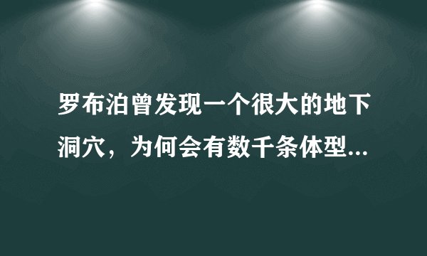 罗布泊曾发现一个很大的地下洞穴，为何会有数千条体型巨大的食人蜥蜴