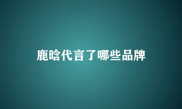 鹿晗代言了哪些品牌