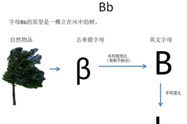 二、字母Bb的形象和含义是什么?