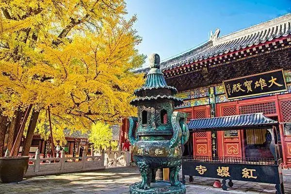 揭秘寺庙生意经:交费即可供奉牌位,只图碎银几两如何修行?