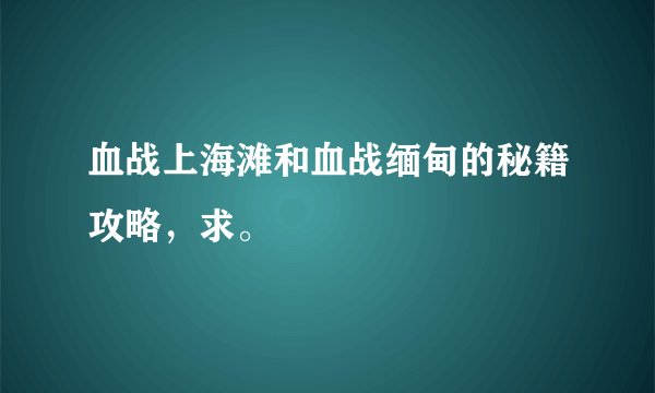 血战上海滩和血战缅甸的秘籍攻略，求。