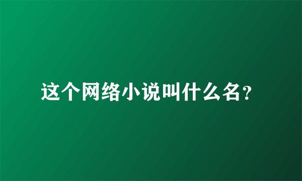 这个网络小说叫什么名？