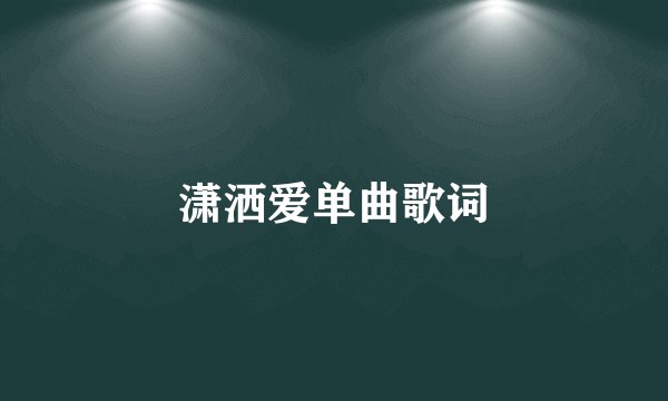 潇洒爱单曲歌词