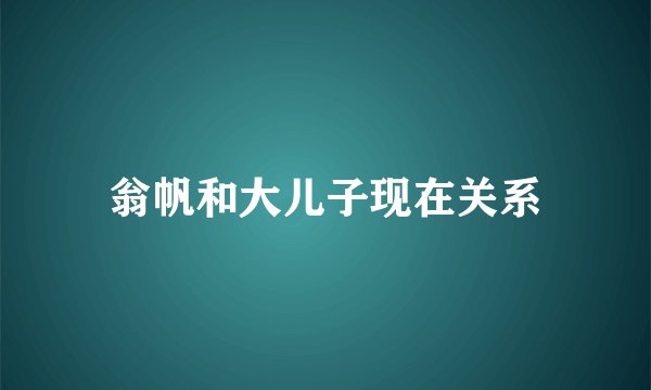 翁帆和大儿子现在关系
