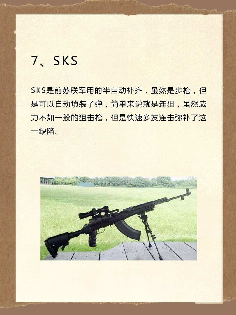 世界十大禁用枪支