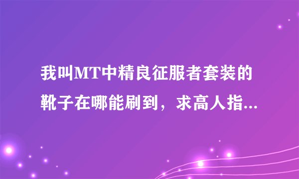 我叫MT中精良征服者套装的靴子在哪能刷到，求高人指点，别跟我说霜雨，我29级，专业的来