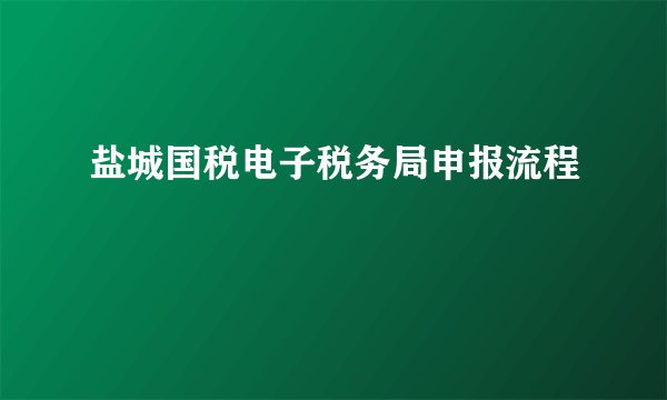 盐城国税电子税务局申报流程