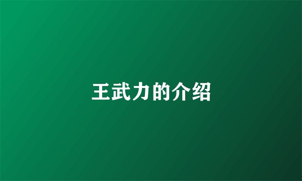 王武力的介绍