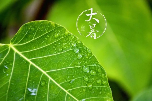 大暑下雨有什么预兆