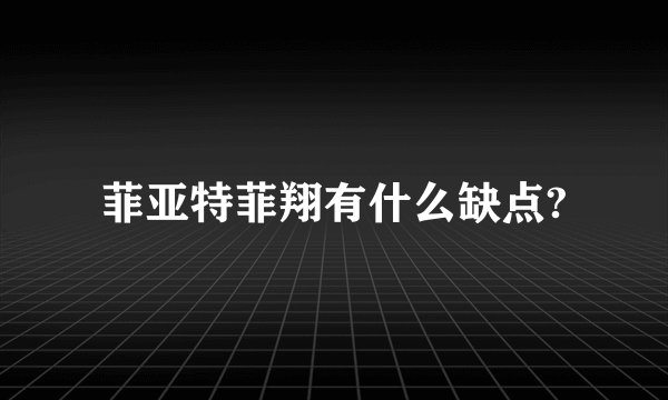 菲亚特菲翔有什么缺点?