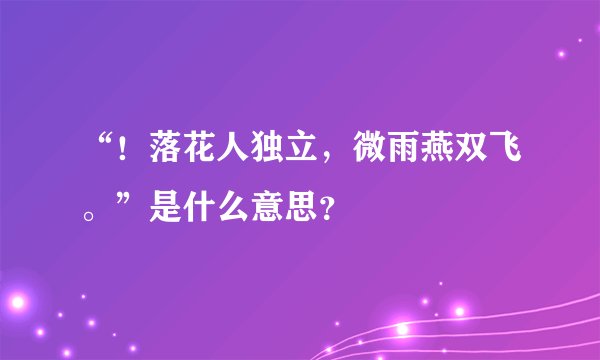 “！落花人独立，微雨燕双飞。”是什么意思？