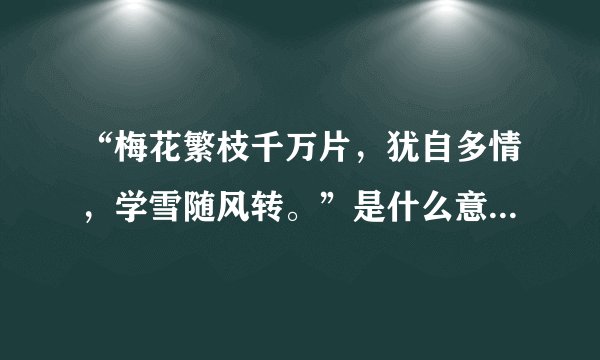 “梅花繁枝千万片，犹自多情，学雪随风转。”是什么意思_出处及原文翻译