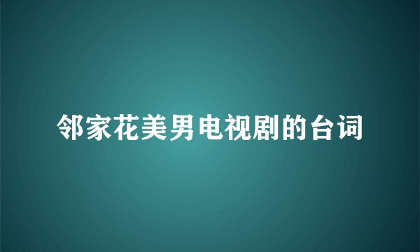 邻家花美男电视剧的台词