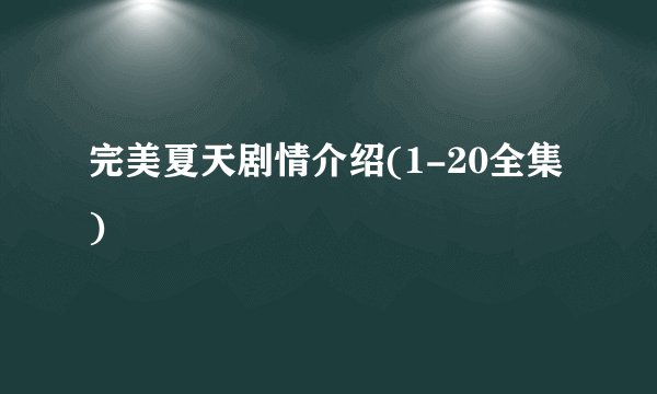 完美夏天剧情介绍(1-20全集)