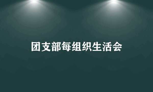 团支部每组织生活会