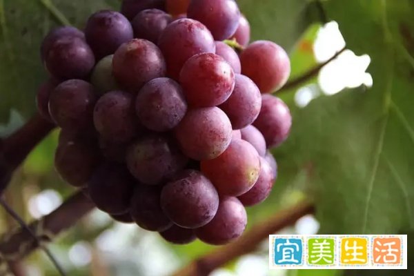 今日处暑:每天早睡一小时,真能解秋乏?