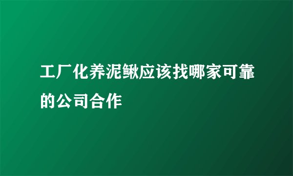 工厂化养泥鳅应该找哪家可靠的公司合作