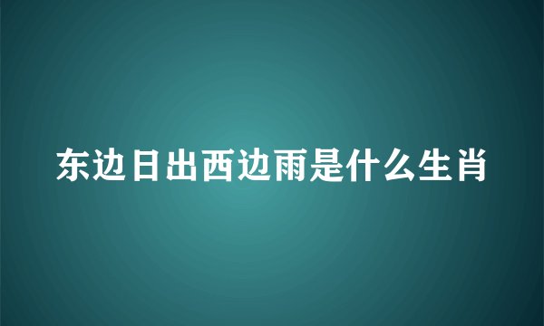 东边日出西边雨是什么生肖