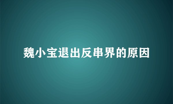 魏小宝退出反串界的原因