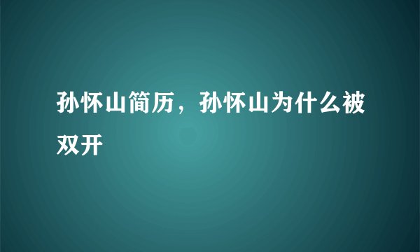 孙怀山简历，孙怀山为什么被双开