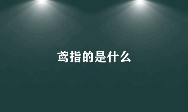 鸢指的是什么