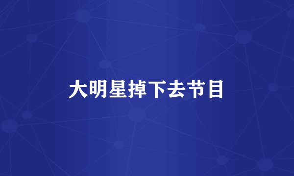 大明星掉下去节目