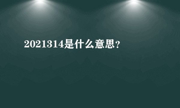 2021314是什么意思？
