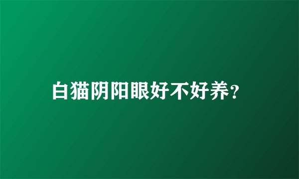 白猫阴阳眼好不好养？