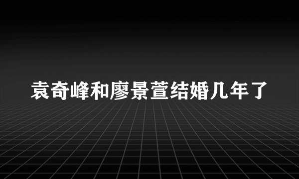 袁奇峰和廖景萱结婚几年了