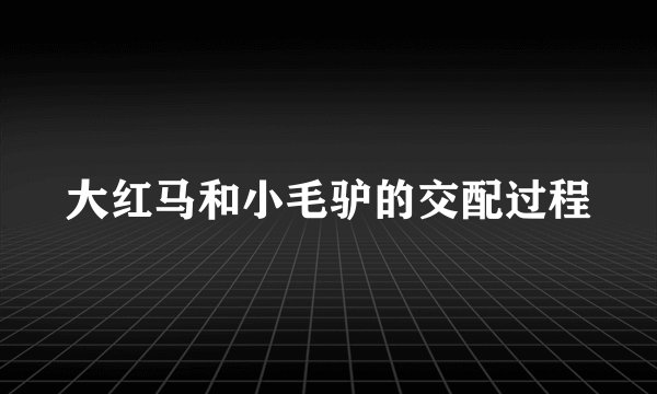 大红马和小毛驴的交配过程